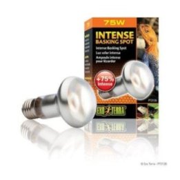 Exoterra intense basking spot 75W s20 E27 'oranssi -