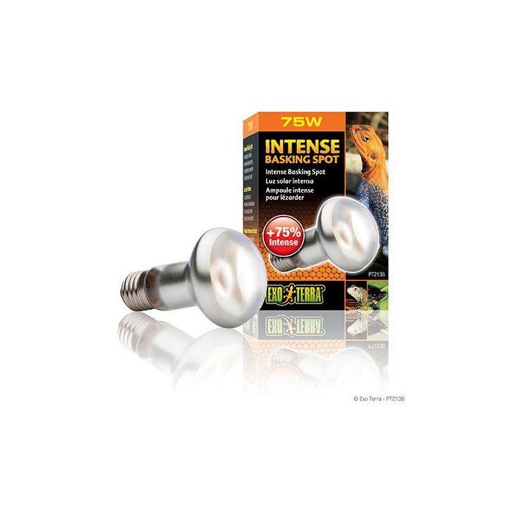 Exoterra intense basking spot 75W s20 E27 'oranssi -