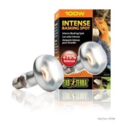 Exoterra intense basking spot 100W s25 E27 exterra 'oranssi -