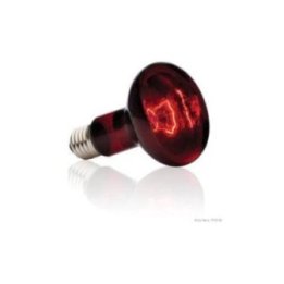 Exoterra infrared basking spot 100W R25 E27 'punainen -