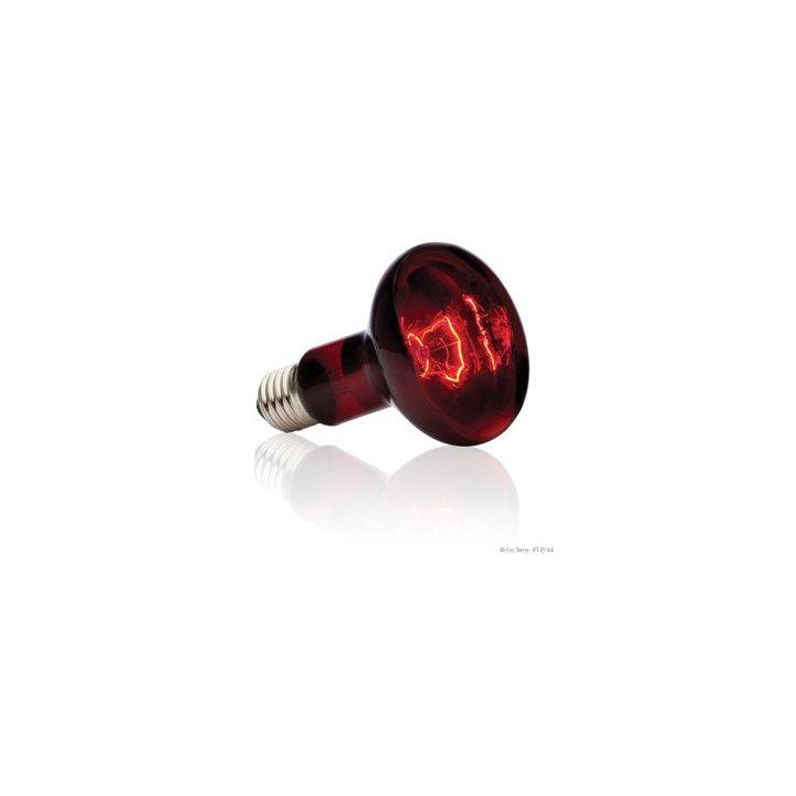 Exoterra infrared basking spot 100W R25 E27 'punainen -