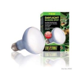 Exoterra daylight basking spot 75W R20 E27 'vihreä -