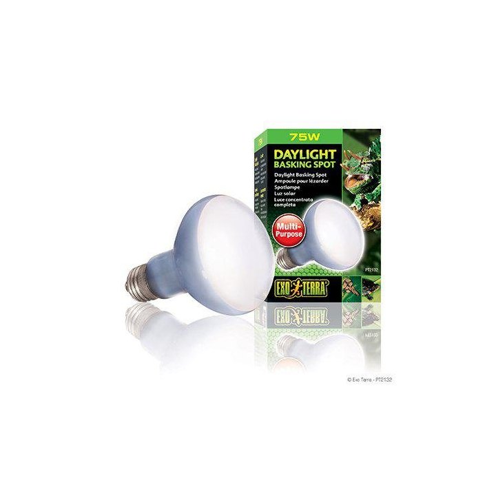 Exoterra daylight basking spot 75W R20 E27 'vihreä -