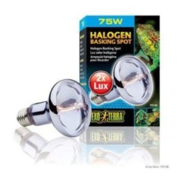 Exoterra halogen basking spot 75W R25 E27 -