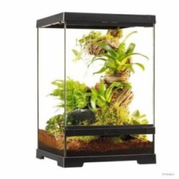 Exoterra terraario 30x30x45CM mini tall -