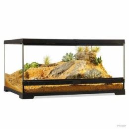 Exoterra terraario 60x45x30CM M low -