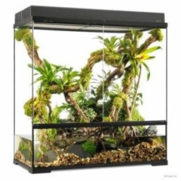 Exoterra terraario 90x45x90CM l x-tall -