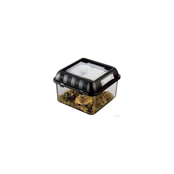 Exoterra muovi terraario breeding laatikko pieni 20.5x20.5x14CM -