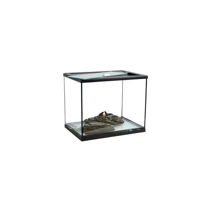 Terraario ylä 40x28x35CM -