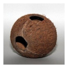 JBL cocos cava 1/1L -
