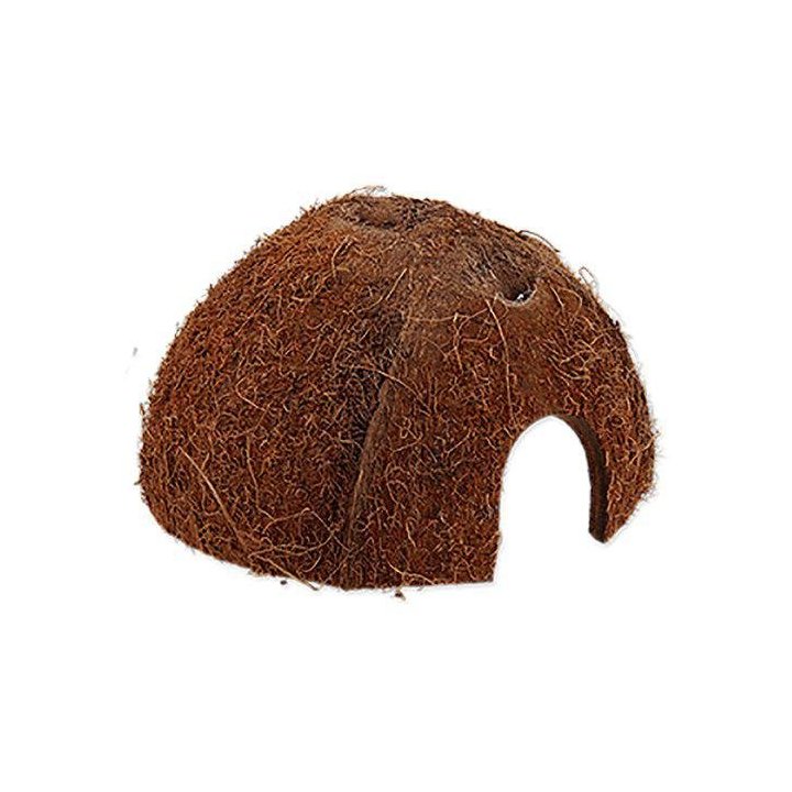 Repti Planet coco shell 1/2 S - Repti Planet