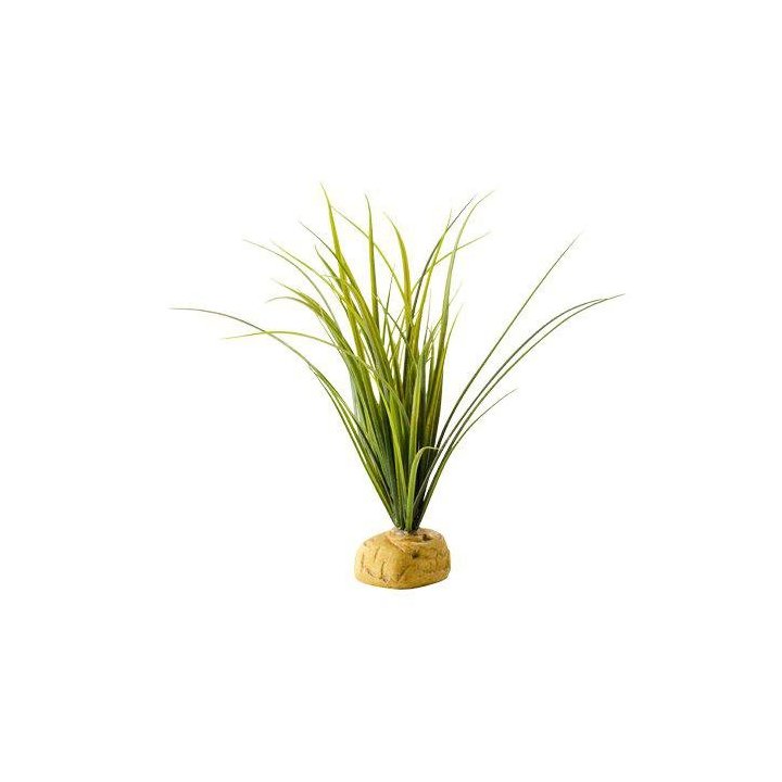 Exoterra kilpikonna grass -