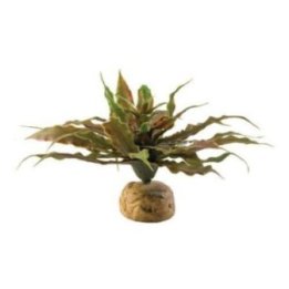 Exoterra lehtikasvi aavikkokasvi 23x23x11CM -