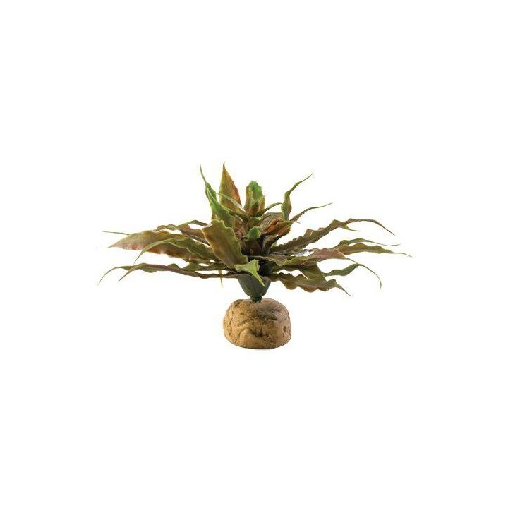 Exoterra lehtikasvi aavikkokasvi 23x23x11CM -