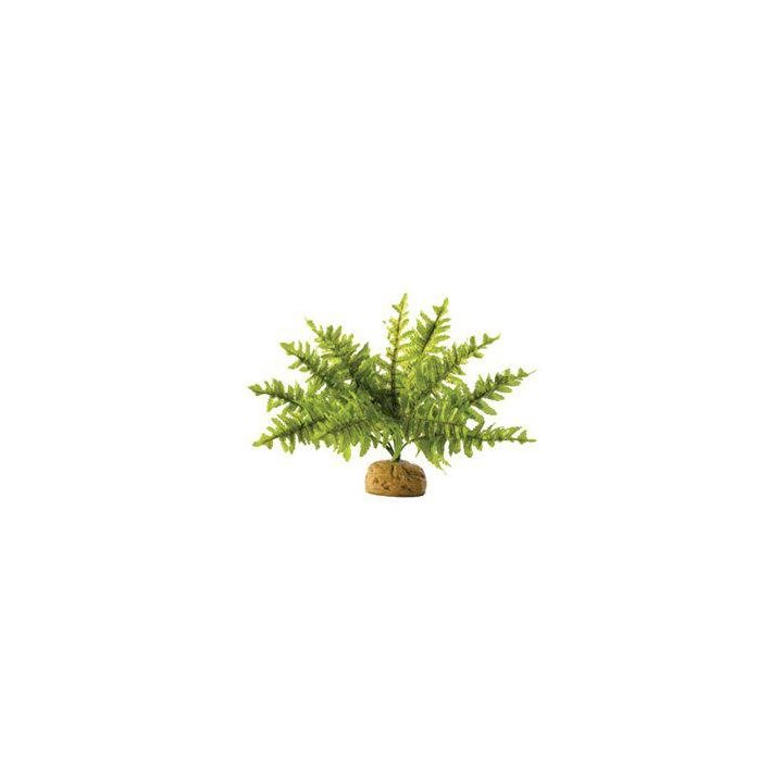 Exoterra saniainen pieni sademetsäkasvi 24x24x16CM -