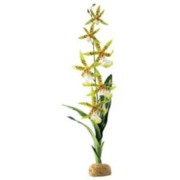 Exoterra orkidé sademetsäkasvi 13x8x43CM -