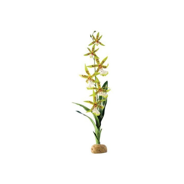 Exoterra orkidé sademetsäkasvi 13x8x43CM -