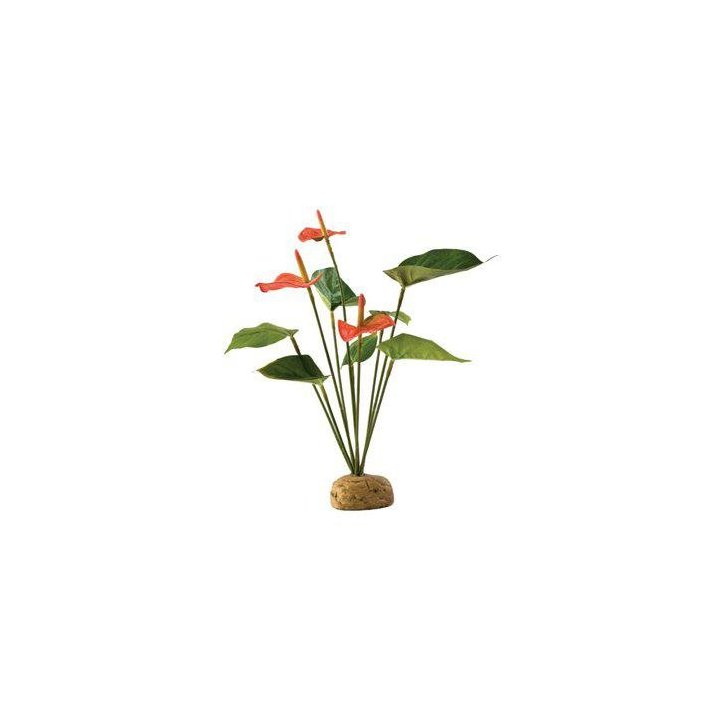Exoterra flamingo sademetsäkasvi 20x15x28CM -