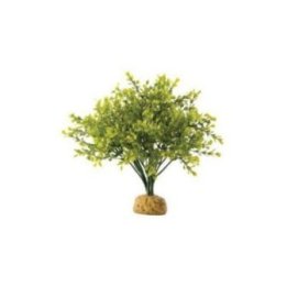 Exoterra puksipuu sademetsäkasvi 18x18x26CM -