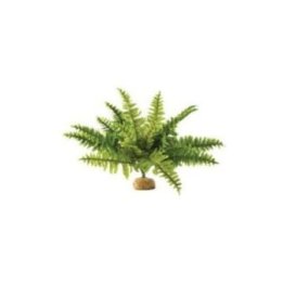 Exoterra saniainen iso sademetsäkasvi 36x36x26CM -
