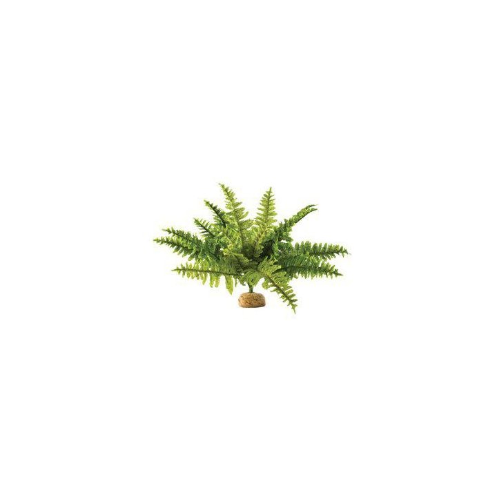 Exoterra saniainen iso sademetsäkasvi 36x36x26CM -