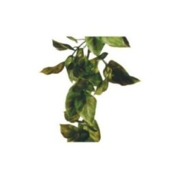Exoterra amapallo S muovikasvi -