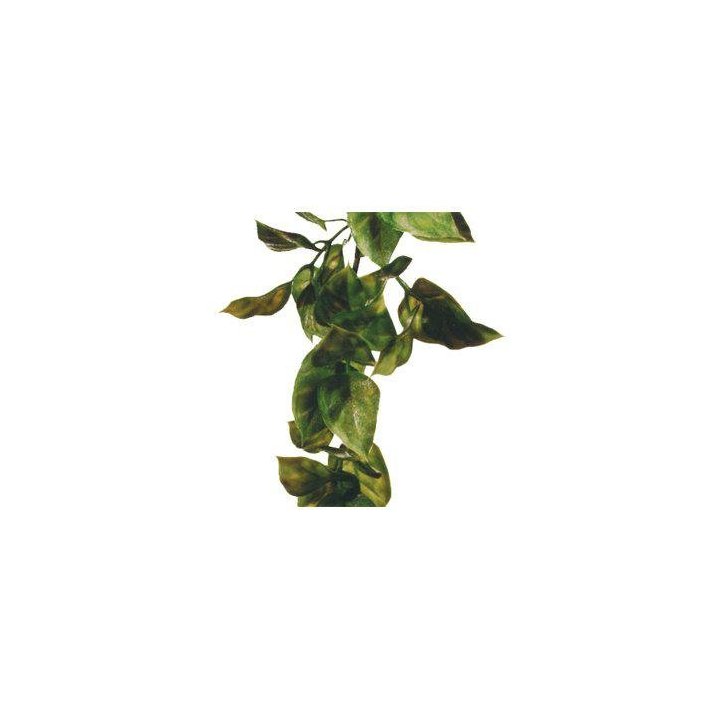 Exoterra amapallo S muovikasvi -