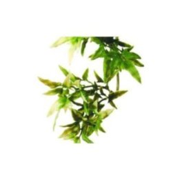 Exoterra croton M muovikasvi -