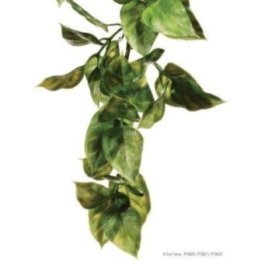 Exoterra amapallo M muovikasvi -