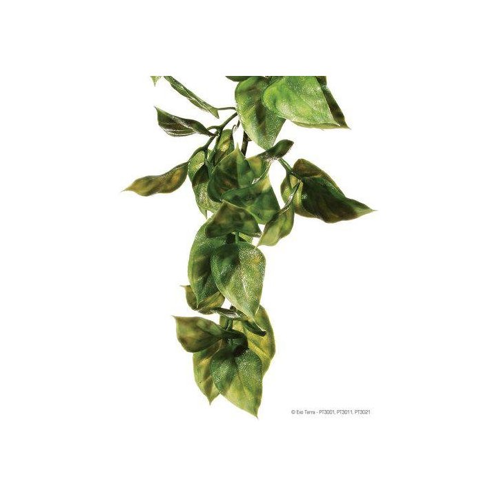 Exoterra amapallo M muovikasvi -