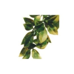 Exoterra mandarin M muovikasvi -