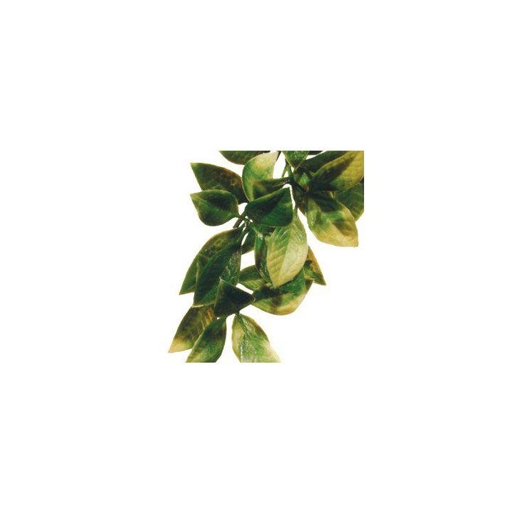 Exoterra mandarin M muovikasvi -