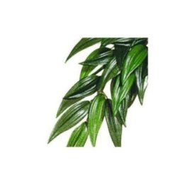 Exoterra rucus S muovikasvi -