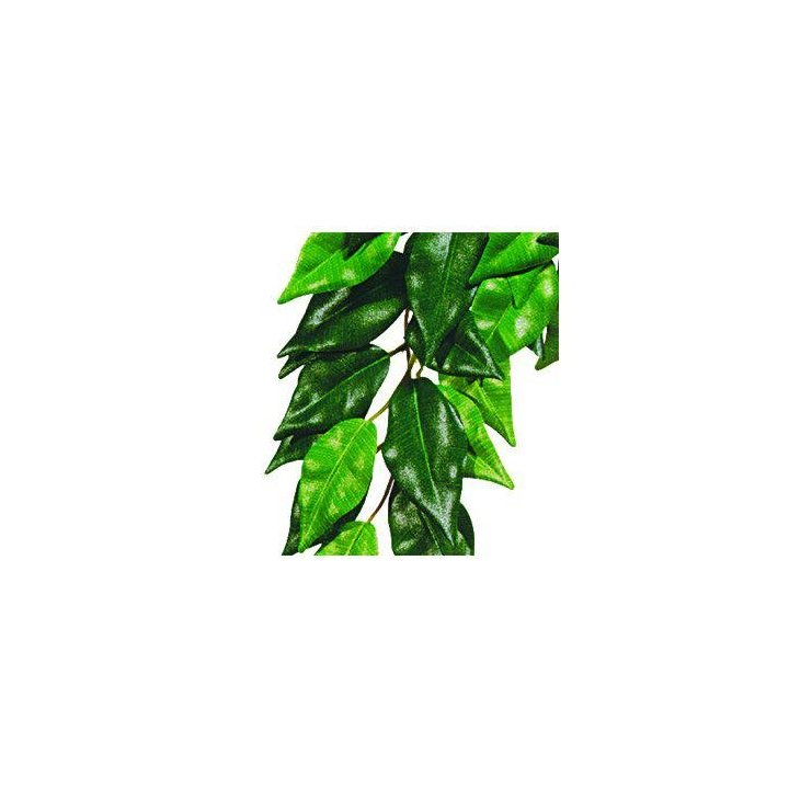 Exoterra ficus l muovikasvi -