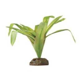 Exoterra bromelia M -