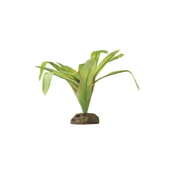 Exoterra bromelia M -