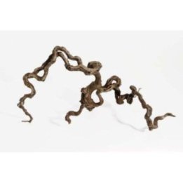 Aquadeco winewood M 40-70CM -