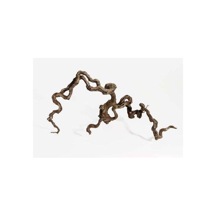 Aquadeco winewood M 40-70CM -