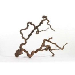 Aquadeco winewood l 70-100CM -