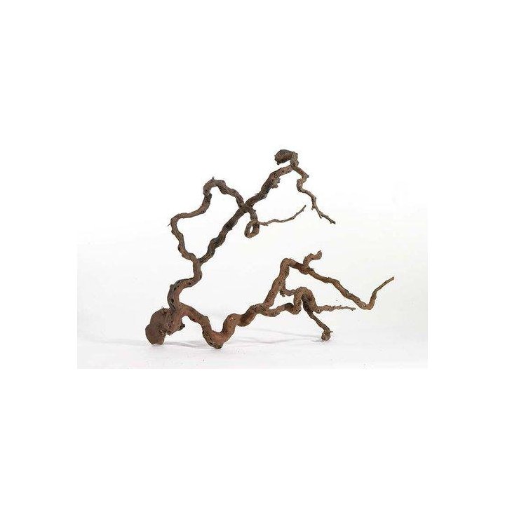 Aquadeco winewood l 70-100CM -