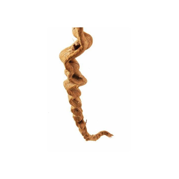 Aquadeco liana 100CM ø3-4CM -