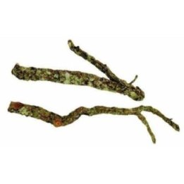 Aquadeco cork tronchos max 60CM -
