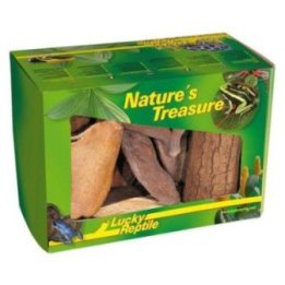 Lucky Reptile koristelaatikko nature'S treasure -