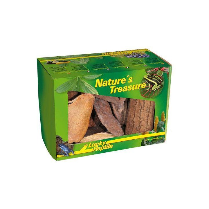 Lucky Reptile koristelaatikko nature'S treasure -