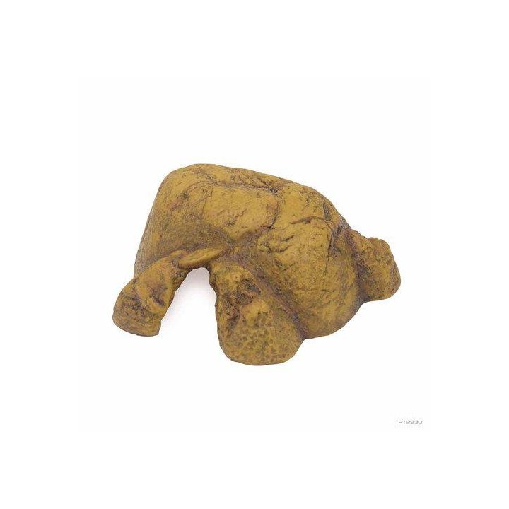 Exoterra luola M 23.5x15x6CM -