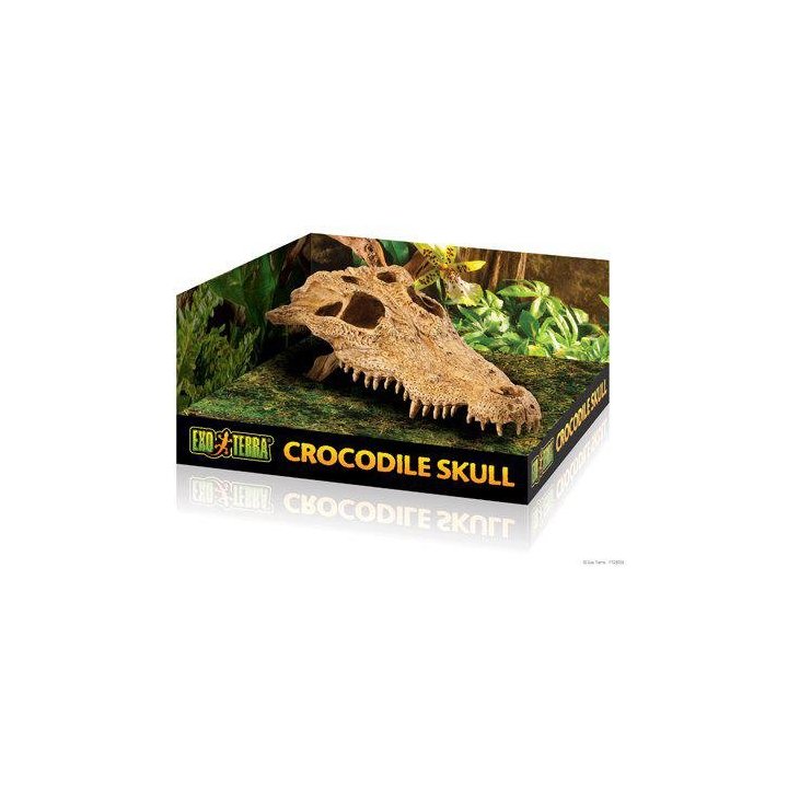 Exoterra luola krokotiili kallo -