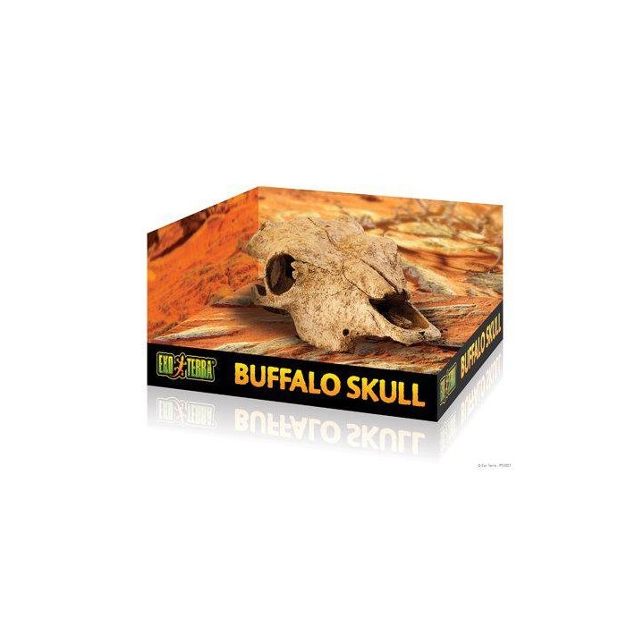 Exoterra luola puhveli kallo -