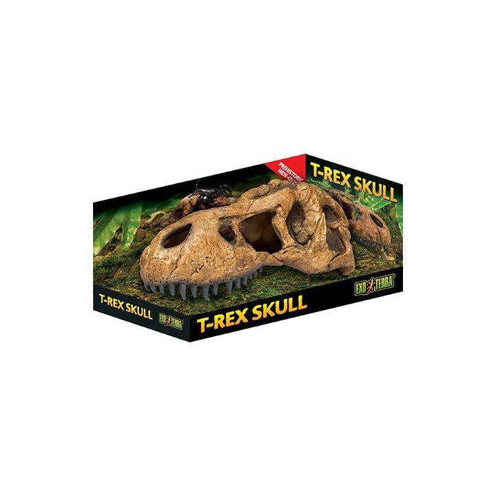 Exoterra luola t rex kallo -