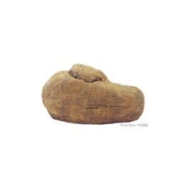 Exoterra luola Reptile den M 20x12.5x11CM -