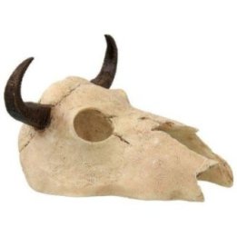 Repti Planet pieni buffalo skull 12,5x11,8x8CM - Repti Planet